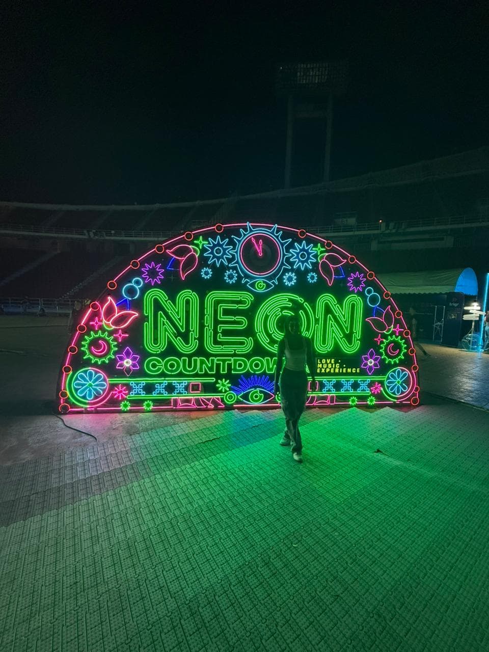 Cinematic Concert Crowd Backdrop